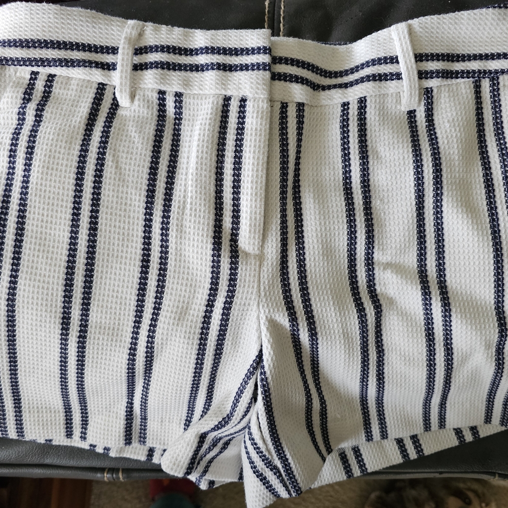 Ann Taylor Factory Navy and White Striped Shorts